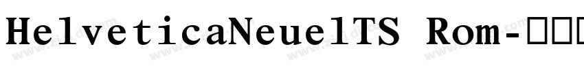 HelveticaNeuelTS Rom字体转换